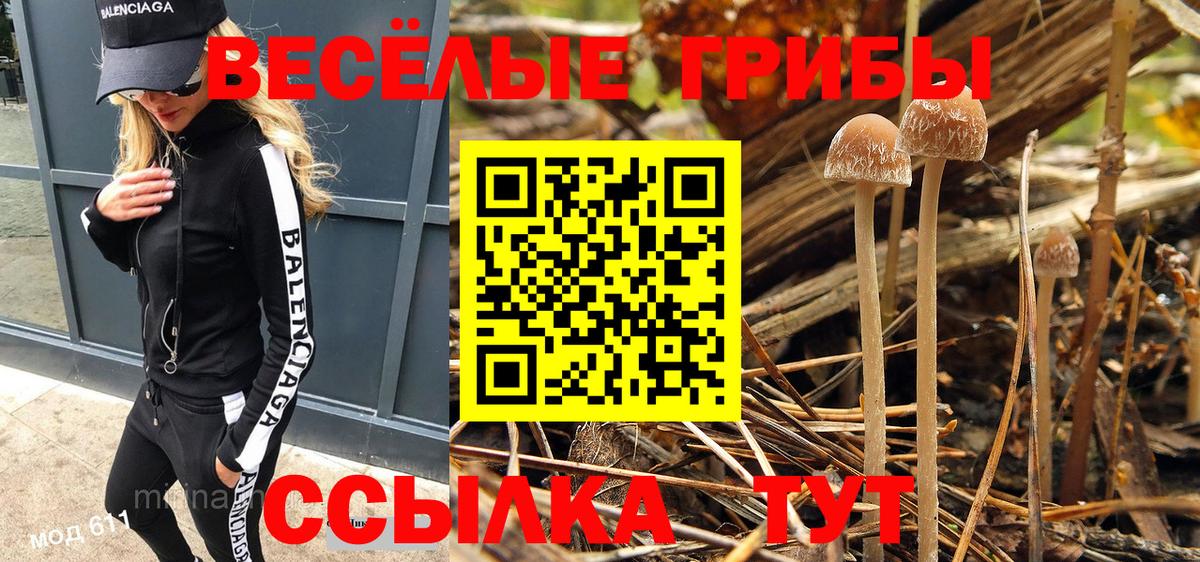 Псилоцибиновые грибы прущие грибы Еманжелинск