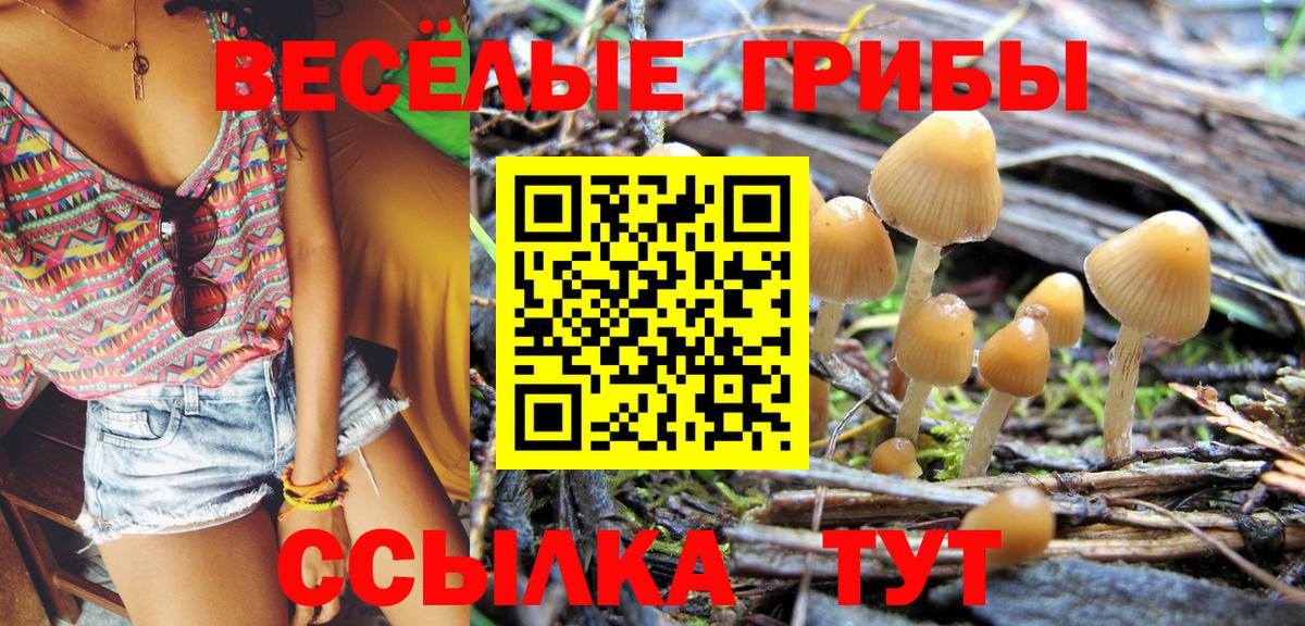Еманжелинск  Псилоцибиновые грибы Psilocybe  Вход с VPN  Галлюциногенные грибы прущие грибы 